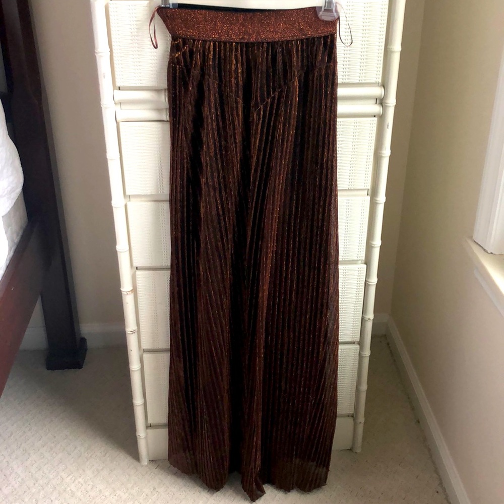 Zara Maxi Skirt
